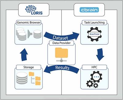 Integration of “omics” Data and Phenotypic Data Within a Unified Extensible Multimodal Framework